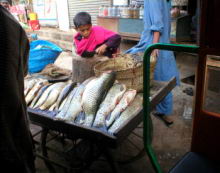 Fish-seller.jpg