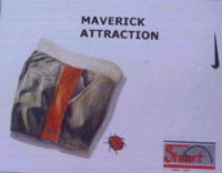 maverick-attraction.jpg