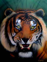 Tiger1.jpg