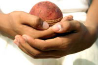 one-cricket-ball.jpg
