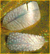 angels-feathers.jpg