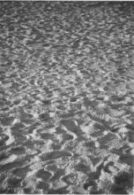 footprints in the sand.jpg