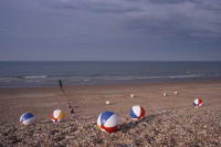 Beach-Balls.jpg