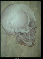 Portrait-of-a-Skull.jpg