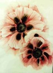 poppies-watercolour-60-x-80.jpg
