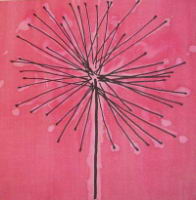 Allium-Pink.jpg