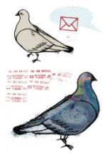 messenger_pigeons_harvey.jpg