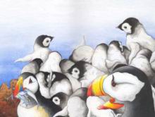 puffins-and-penguins.jpg